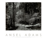 Tenaya Creek  Dogwood  Rain  Yosemite National Park  Ca 1948