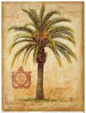 Island Palm detail