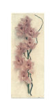 Orchid with Branch