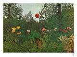 Jungle Sunset