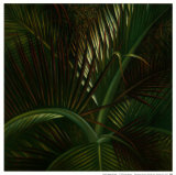 Exotic Passage