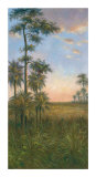 Tropical Serenity II