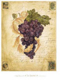 Rich Harvest II
