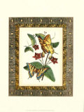 Leather Framed Butterflies I