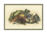 Vegetables from the Earth