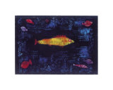 The Goldfish