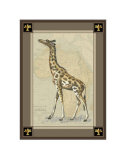 Giraffe with Border I
