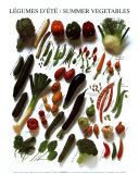 Summer Vegetables