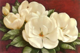 Magnolia Crimson I