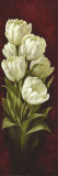 MagnificentTulips I