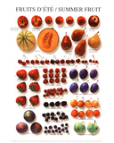 Summer Fruit