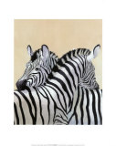 The Zebra