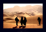 Arakao  Tenere  Niger