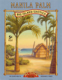 Manila Palm