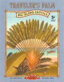 Traveler's Palm