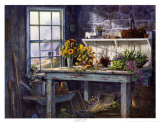 Sunlight Suite