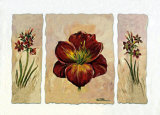 Red Composition in Three