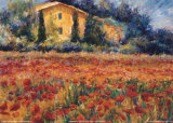 St Remy Poppies