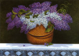 Lilacs Of Nantucket