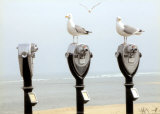 The Onlookers