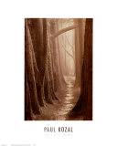 Cypress Trail