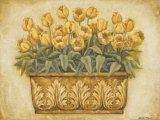Yellow Tulips