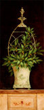 Olive Topiary II