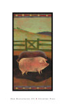 Country Pigs
