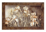 Field of Irises