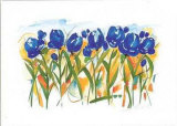 Field of Tulips