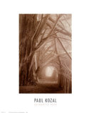 Enchanted Path