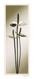 Anthurium