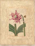 Estudio de Flores II