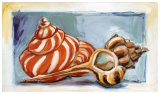 Caracolas I