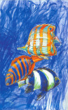 Orange Fish