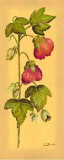 Flores Colgantes I