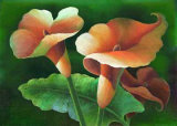 Flores Oscuro II