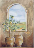 Where the Lemon Trees Are Blossoming