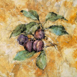 Fruit Frescos IV