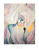 Light Iris 1924
