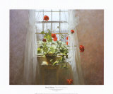 Red Geraniums