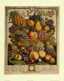 Fruits of the Season Winter