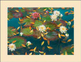 Lily Pad I