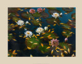 Lily Pad II