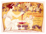 Ligue Vinicole de France