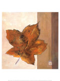 Leaf Impression  Rust