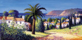 Palm Trail