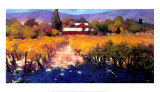 Vineyard Afternoon
