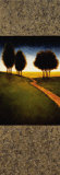Lighted Path II