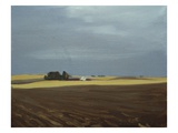 Fields  Moses Lake